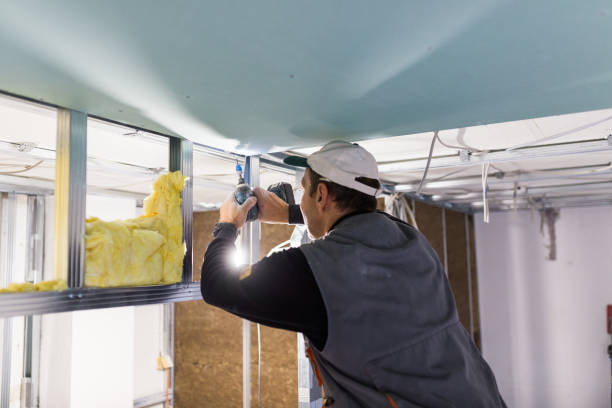 Insulation Replacement Services in Rogers City, MI